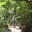 sal04-el-imposible-national-park-free-ra-1