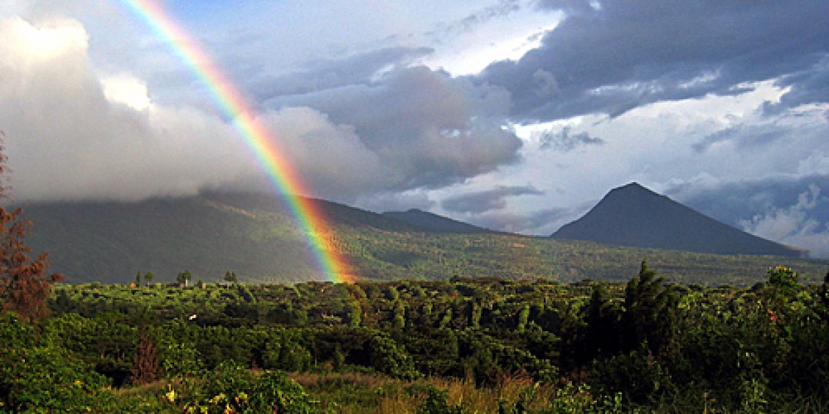 SAL06_RutaDeLasFlores_Picassa_Cordillera_De_Apaneca