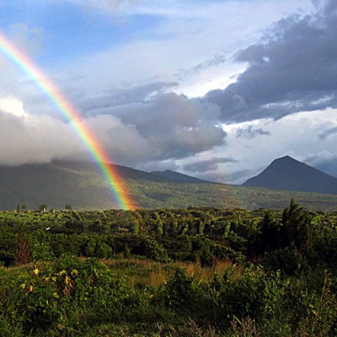 SAL06_RutaDeLasFlores_Picassa_Cordillera_De_Apaneca