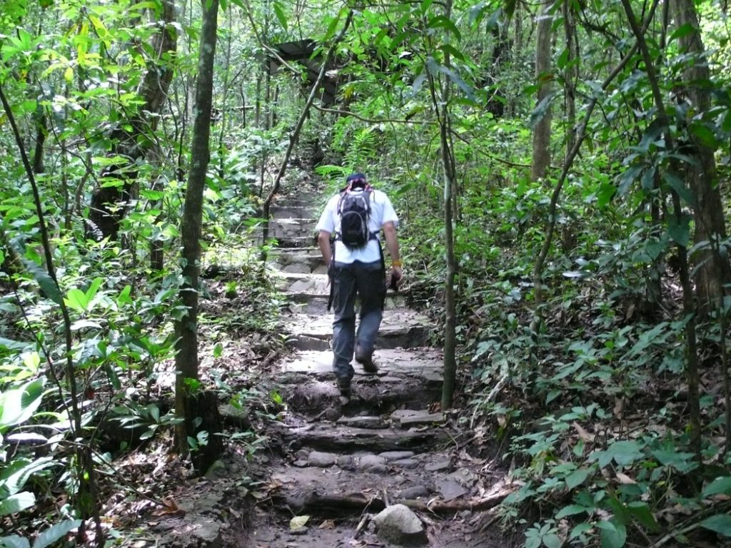 SAL09_CinqueraNationalPark_SW_Free