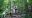 SAL09_CinqueraNationalPark_SW_Free
