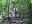 SAL09_CinqueraNationalPark_SW_Free