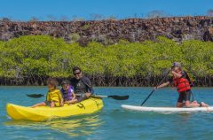 GAL_Kayak_Tropic_freewithcredit (2) GAL_Kayak_Tropic_freewithcredit (2)