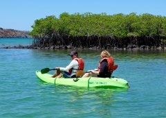 Ben Line ©-Galapagos Islands-Santa Cruz Island-01 April 2017 Ben Line ©-Galapagos Islands-Santa Cruz Island-01 April 2017
