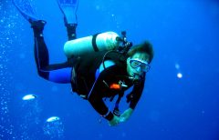Bonaire scuba diving Bonaire scuba diving