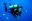 Bonaire scuba diving