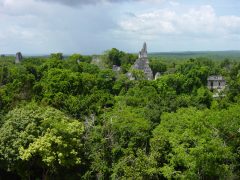 gua10-jungle-trek-to-a-lost-city-free gua10-jungle-trek-to-a-lost-city-free