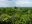 gua10-jungle-trek-to-a-lost-city-free
