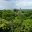 gua10-jungle-trek-to-a-lost-city-free