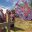 GUA16_kite_festival-TomParrott