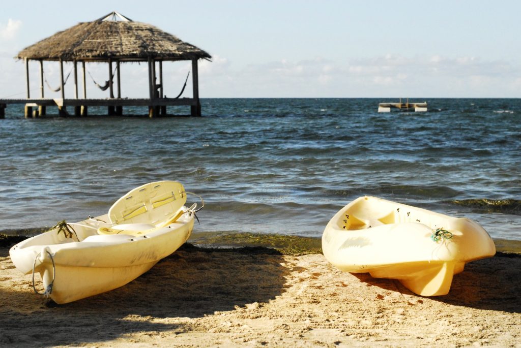 hon03-sea-kayaking-wildlife-excursion-free-htb
