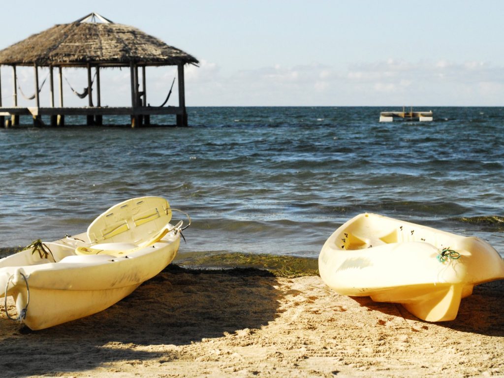 hon03-sea-kayaking-wildlife-excursion-free-htb