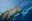 HON04_VisitAManateeReserve_iStock_Free