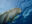 HON04_VisitAManateeReserve_iStock_Free