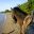 hon05-go-horse-riding-free-htb