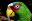 hon08-get-close-to-nature-free-mariourrutia