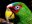 hon08-get-close-to-nature-free-mariourrutia