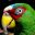 hon08-get-close-to-nature-free-mariourrutia