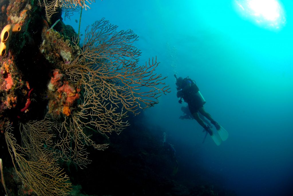 Diving