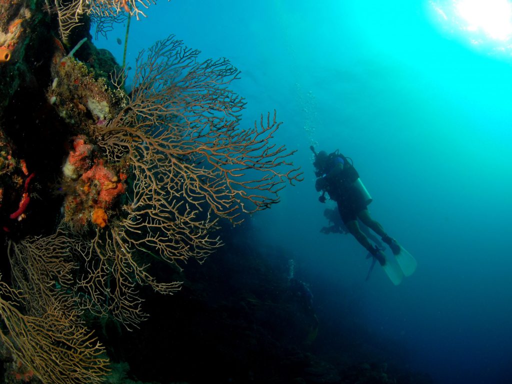 Diving