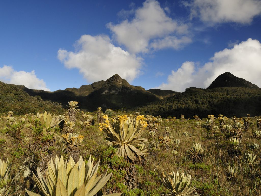 Colombia
