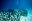mex04-underwatersculture-free-jasondecairestaylor mex04-underwatersculture-free-jasondecairestaylor