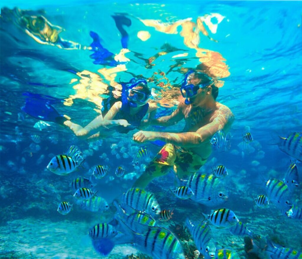 mex05-snorkelling-on-the-riviera-maya-free-mtb