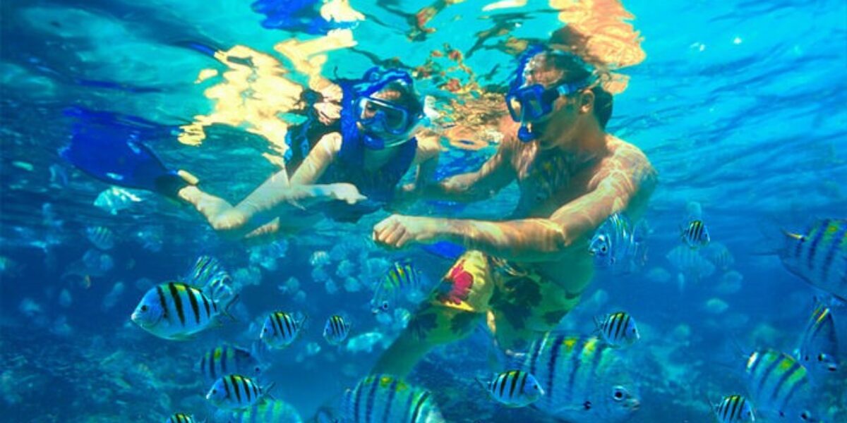 mex05-snorkelling-on-the-riviera-maya-free-mtb