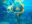 mex05-snorkelling-on-the-riviera-maya-free-mtb