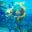 mex05-snorkelling-on-the-riviera-maya-free-mtb