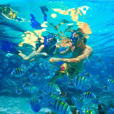 mex05-snorkelling-on-the-riviera-maya-free-mtb