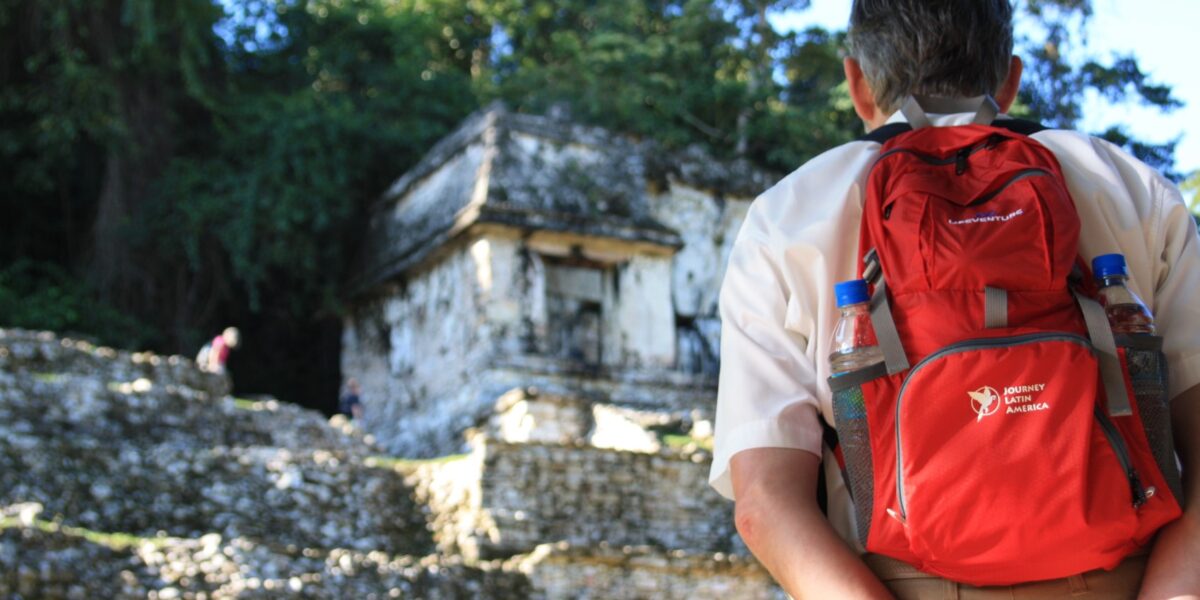 mex17-palenque-free-roselatham
