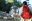 mex17-palenque-free-roselatham mex17-palenque-free-roselatham