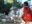 mex17-palenque-free-roselatham