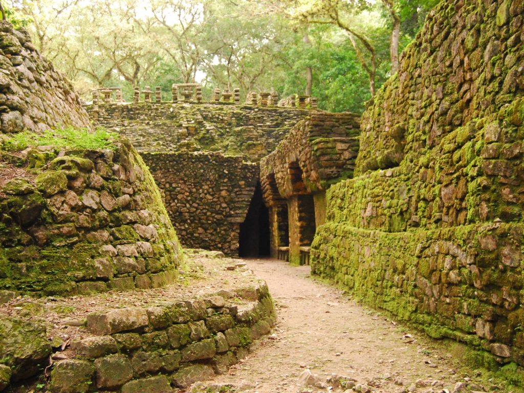 mex18-visit-remote-mayan-cities-free-mn