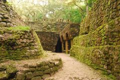 mex18-visit-remote-mayan-cities-free-mn mex18-visit-remote-mayan-cities-free-mn