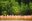 mex24-celestun-free-mn mex24-celestun-free-mn