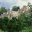 MEX38_Mexico_Campeche_Calakmul_TouristBoard_Free
