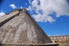 mex40-puucroute-free-mn mex40-puucroute-free-mn