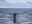 MEX_BlueWhaleBaja_iStock-536249667_Web_free_(4)