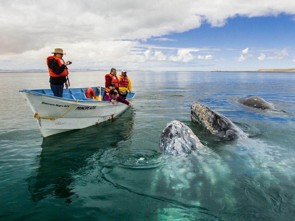 MEX_LosCabos_VisitLosCaboTB_Free