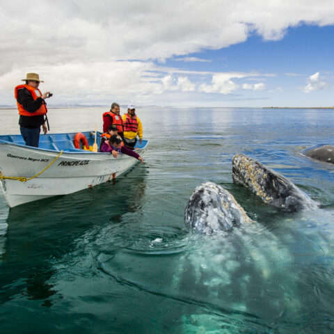 MEX_LosCabos_VisitLosCaboTB_Free