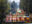 Floating gardens of Xochimilco