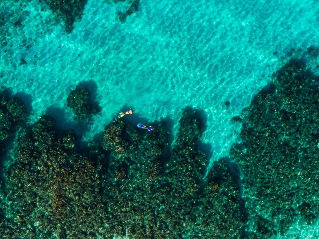 Snorkelling in Bay Islands