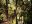 hanging-bridges-and-ziplines