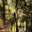 hanging-bridges-and-ziplines