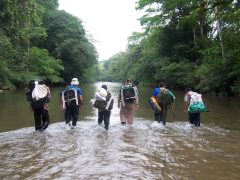 pan09-real-group-trekking-free-chris-haslam pan09-real-group-trekking-free-chris-haslam