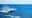 PAN_humpbackWhaleCrop_shutterstock218396926_freewithcredit