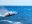 PAN_humpbackWhaleCrop_shutterstock218396926_freewithcredit