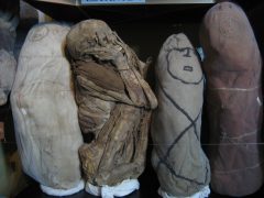 per07-visit-a-museum-of-mummies-free-im per07-visit-a-museum-of-mummies-free-im